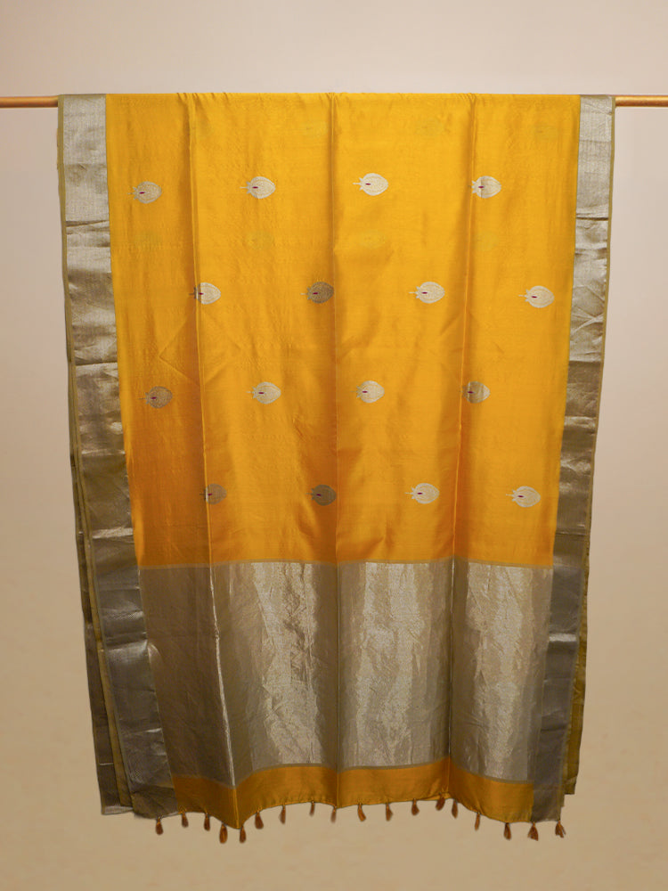 Yellow Chanderi Pattu Silk Saree