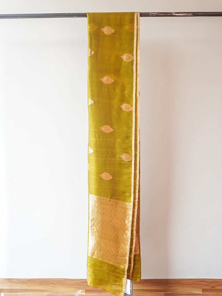 Mehndi Green Chanderi Tissue Saree
