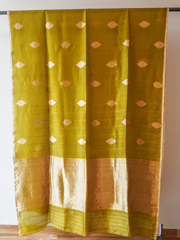 Mehndi Green Chanderi Tissue Saree