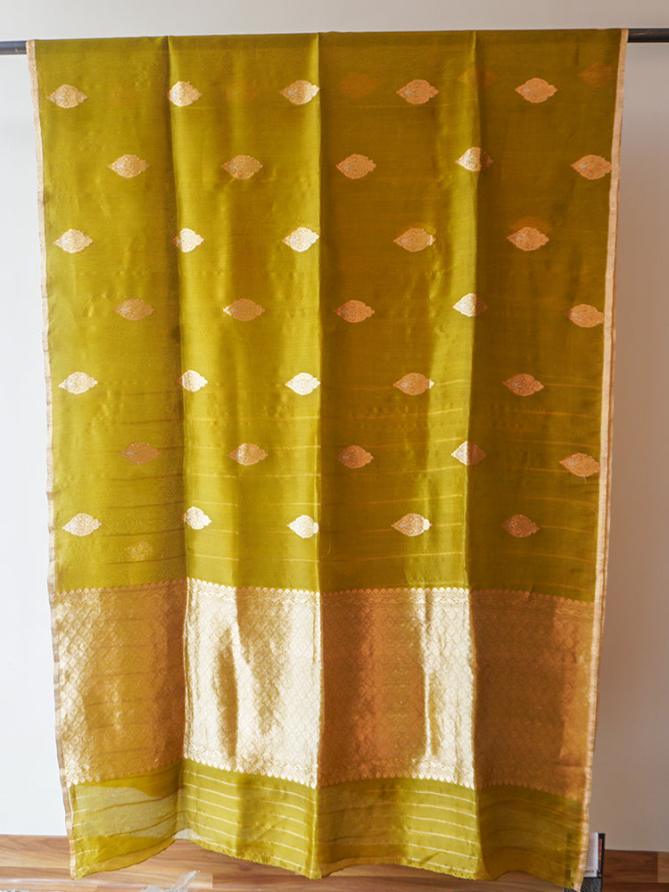 Mehndi Green Chanderi Tissue Saree