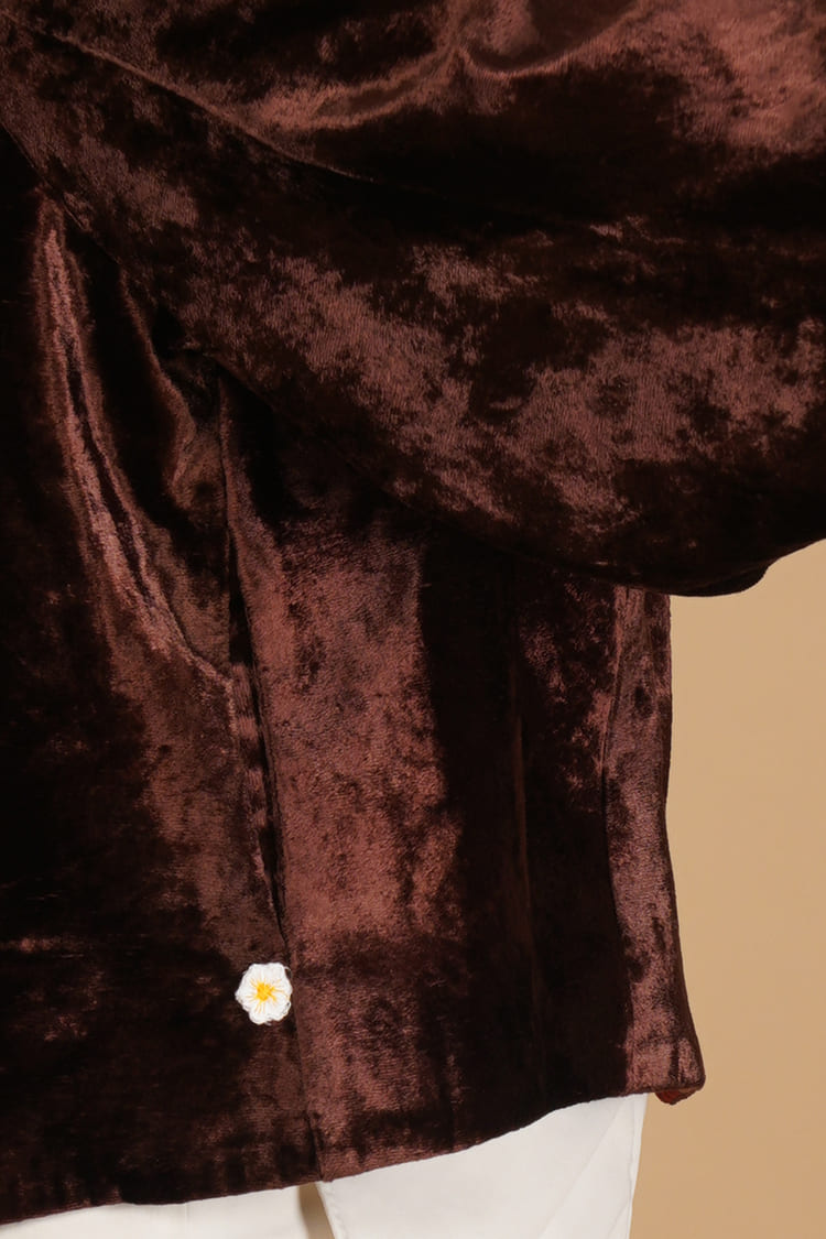 Aurea Brown Velvet Short Jacket